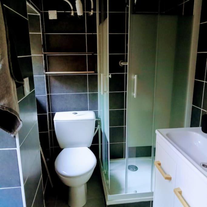 סן-אטיין Le Cosy Chaleureux Appartement מראה חיצוני תמונה